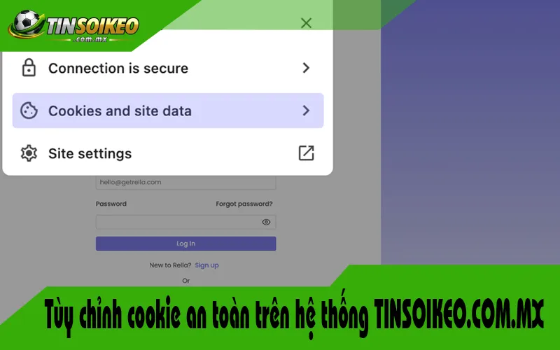 Tùy chỉnh cookie an toàn trên hệ thống TINSOIKEO.COM.MX